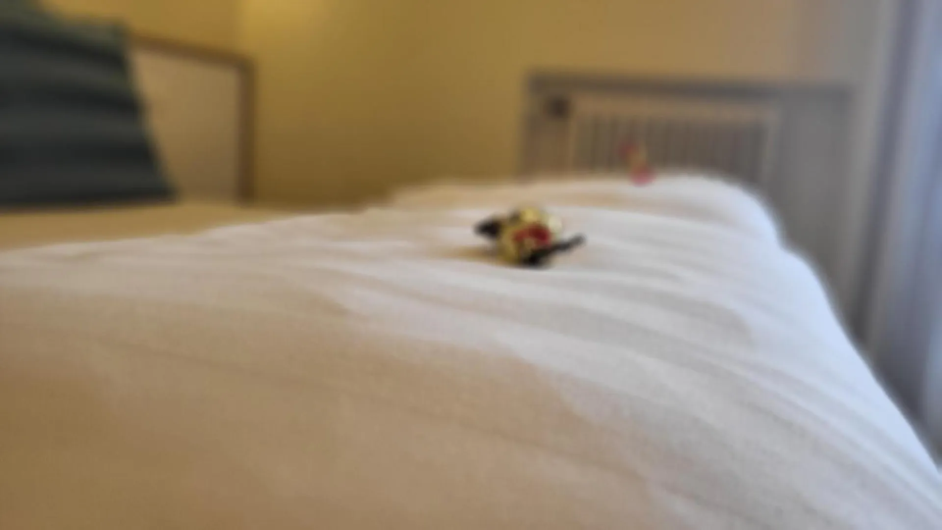 Ferienwohnung Madonna Dell'Aiuto True View Olivo Brenzone sul Garda Italien