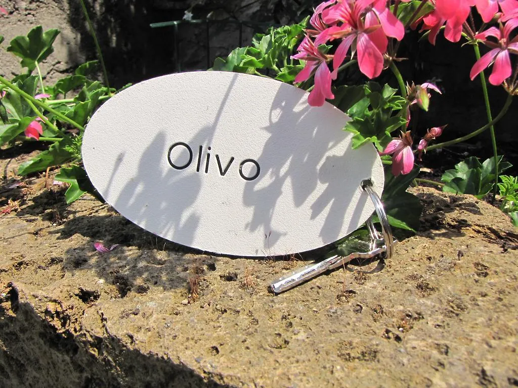Apartment Ferienwohnung Madonna Dell'Aiuto True View Olivo Brenzone sul Garda